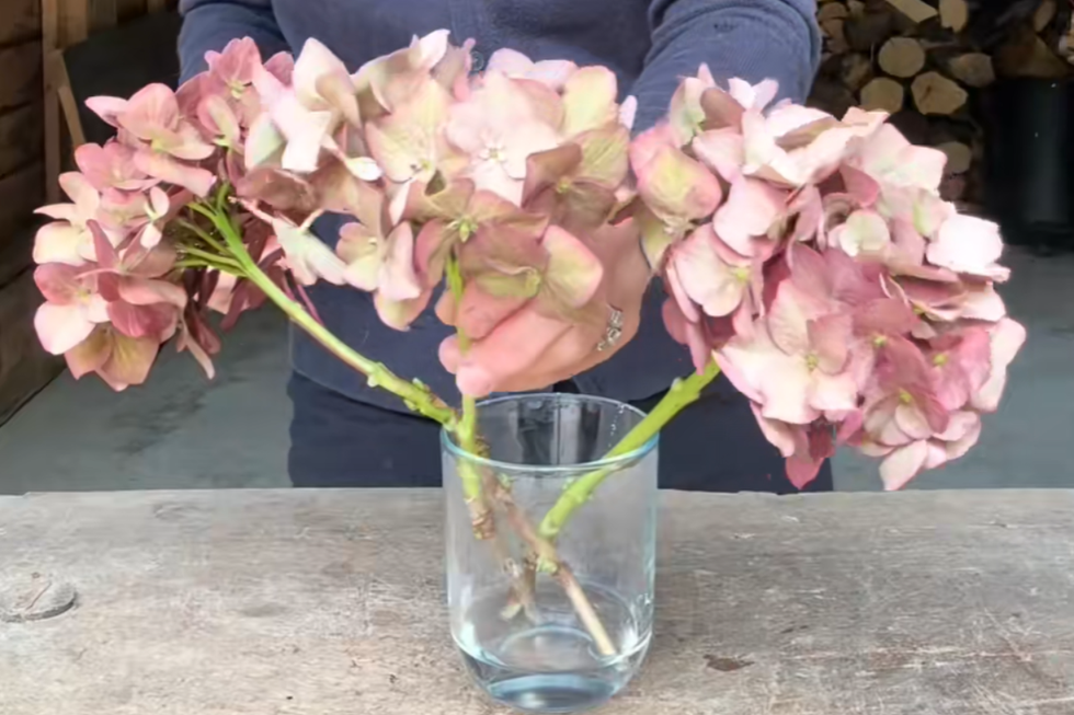 Anya demonstrating the drying method