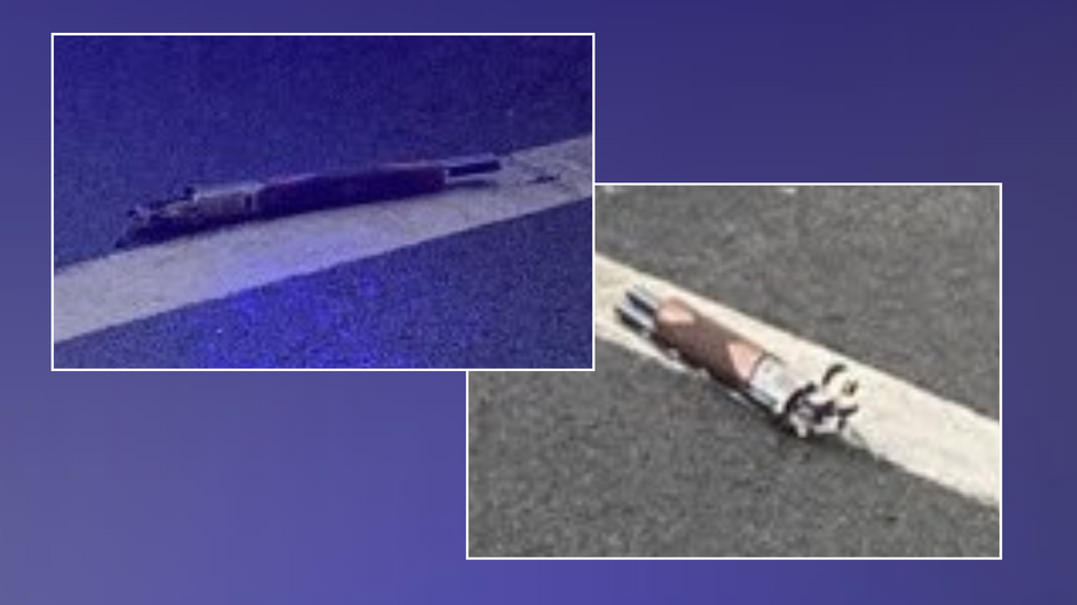 Apparent shotgun