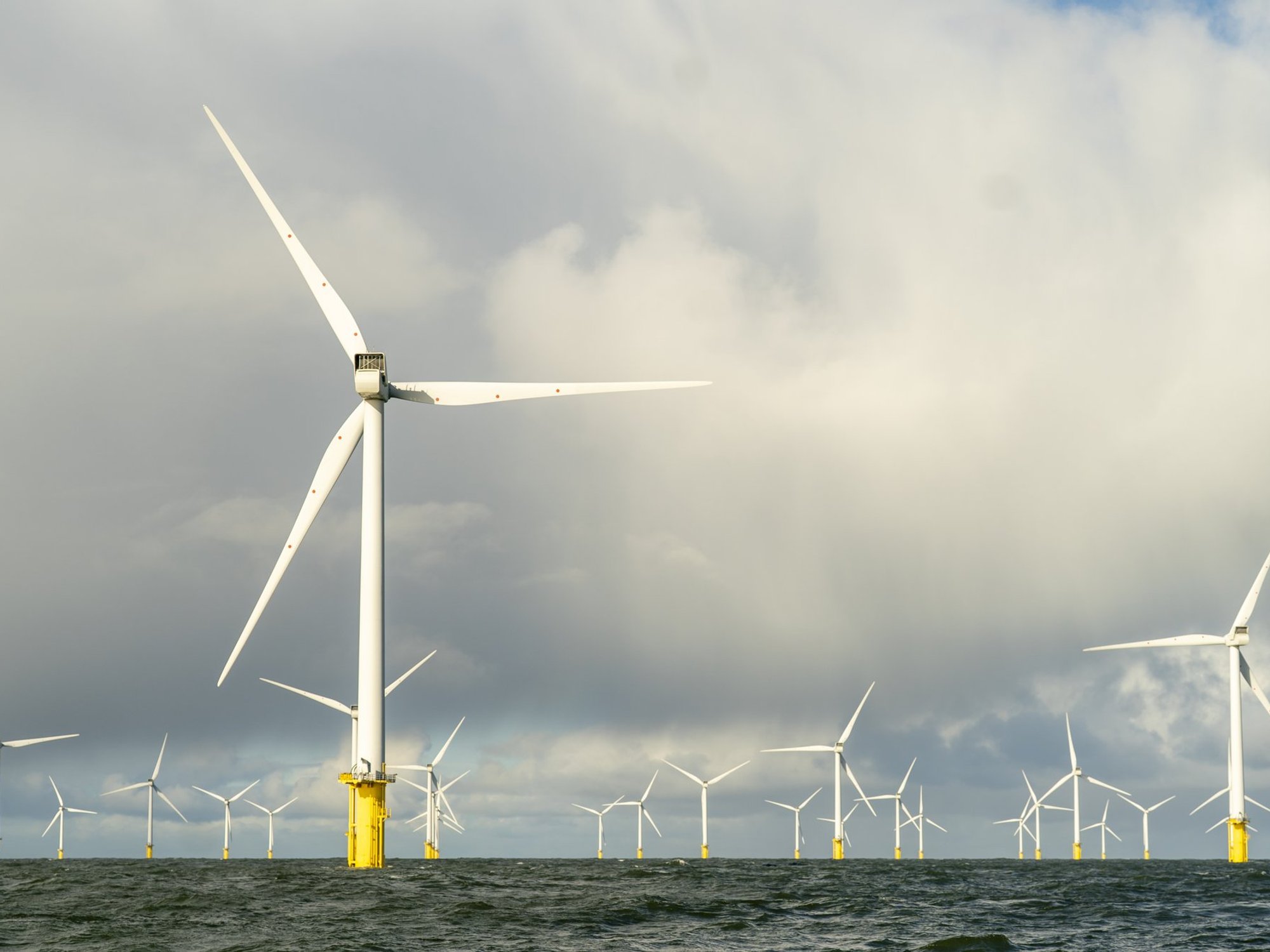 Controversial wind farm with eight 150-metre turbines rejected by court after ministerial approval