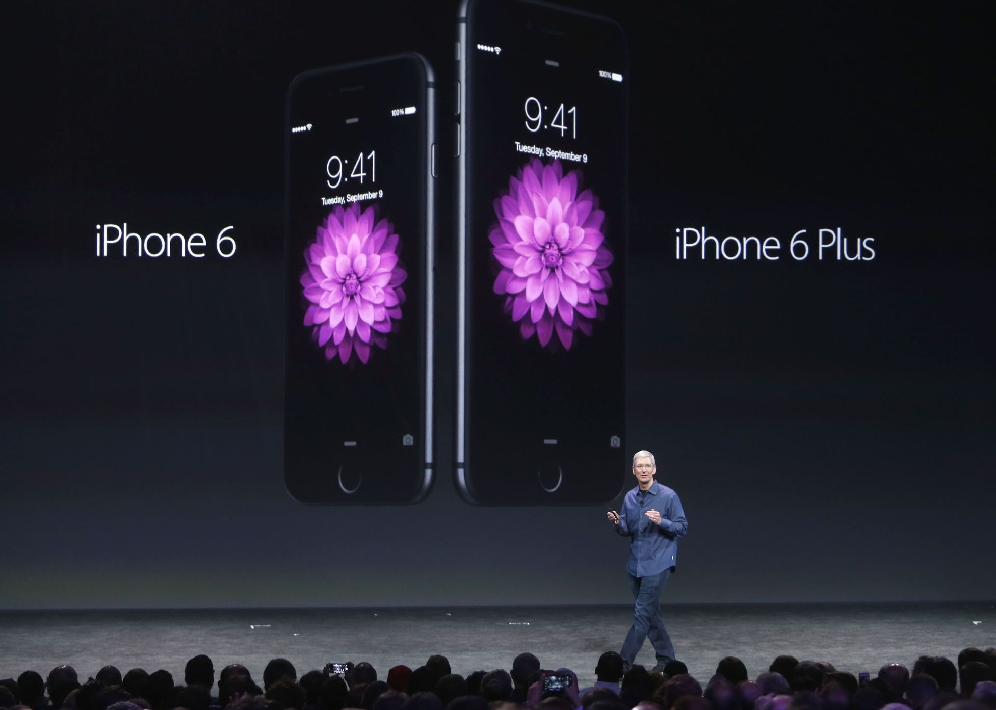 Apple CEO Tim Cook pictured on stage talking about the iPhone 6 and iPhone 6 Plus