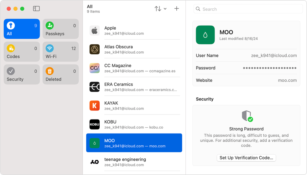 apple passwords app shown on ipad
