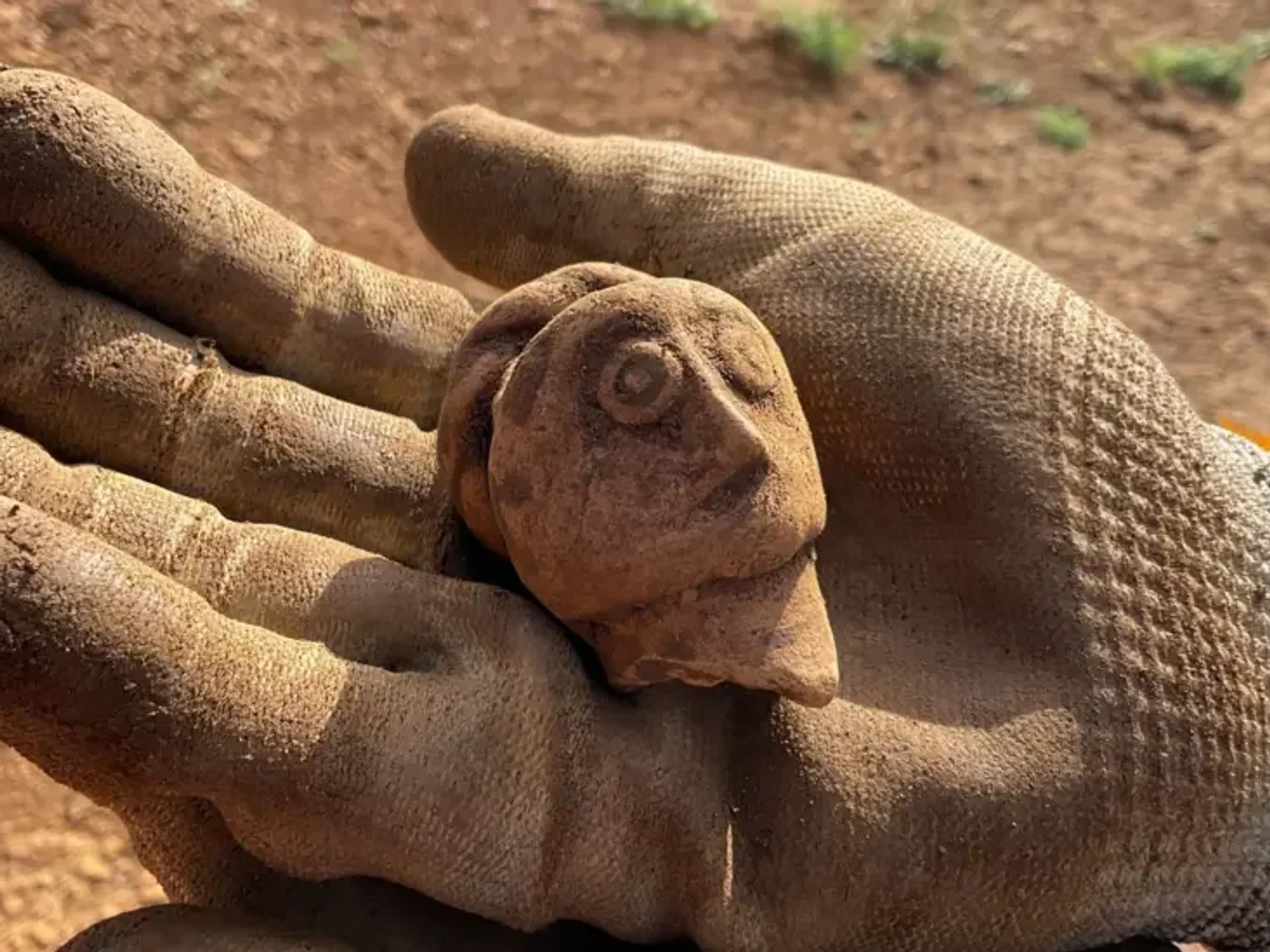 Archaeologist holds Roman artefact
