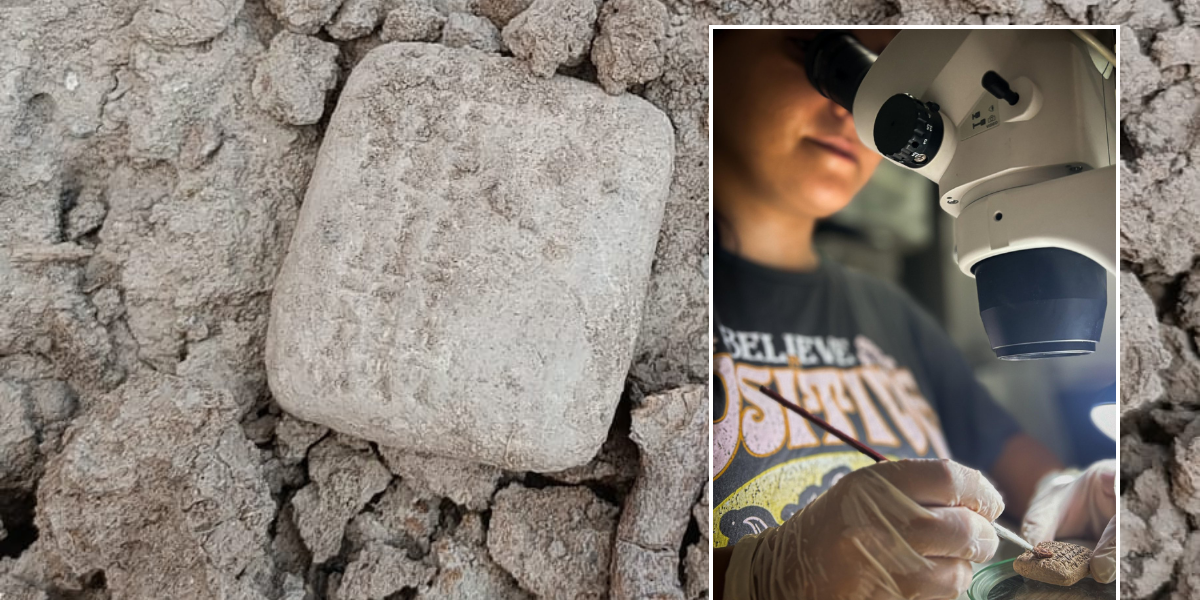NextImg:Archaeologists discover 'world's oldest known sales receipt' in Turkey