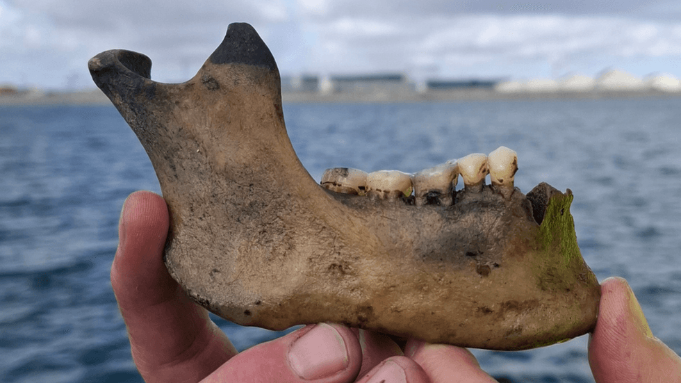 Archaeologists recovered a sailor's jaw