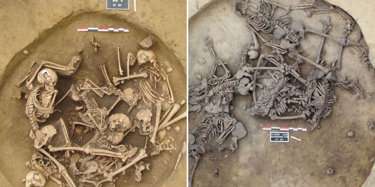 NextImg:Archaeology breakthrough as evidence of sacrificial ‘trophy body parts' unearthed in Europe's earliest victory rites