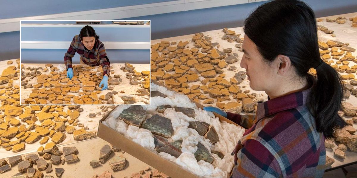 NextImg:Archaeology breakthrough as huge Roman 'puzzle' reveals ancient 2,000-year-old wall paintings