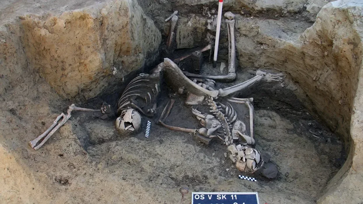 Archaeology breakthrough as skeletal remains of seven Roman soldiers uncovered from ancient well