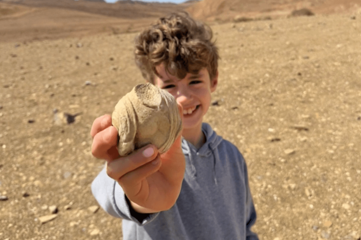 Archaeology