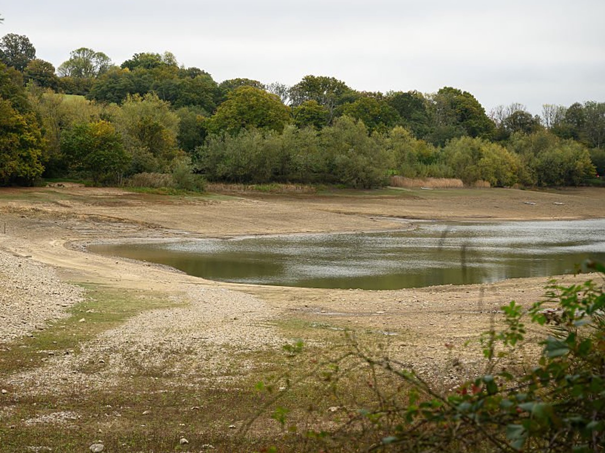 Ardingly Reservoir
