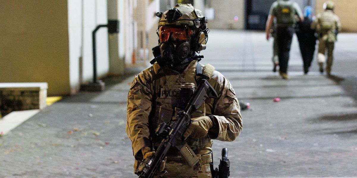 NextImg:Federal agents forced to open fire after 'armed woman' rams officers with car