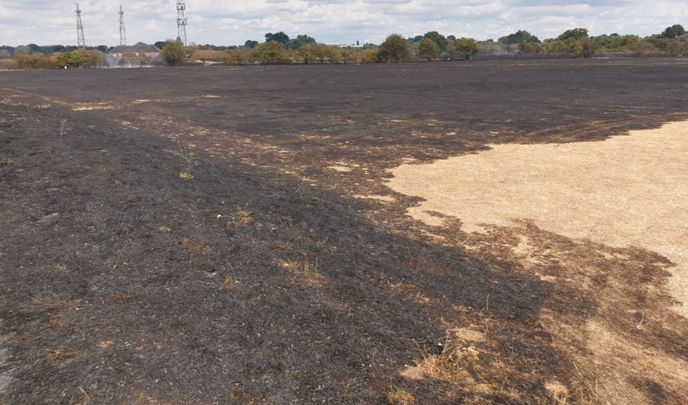 Around six hectares of land was alight