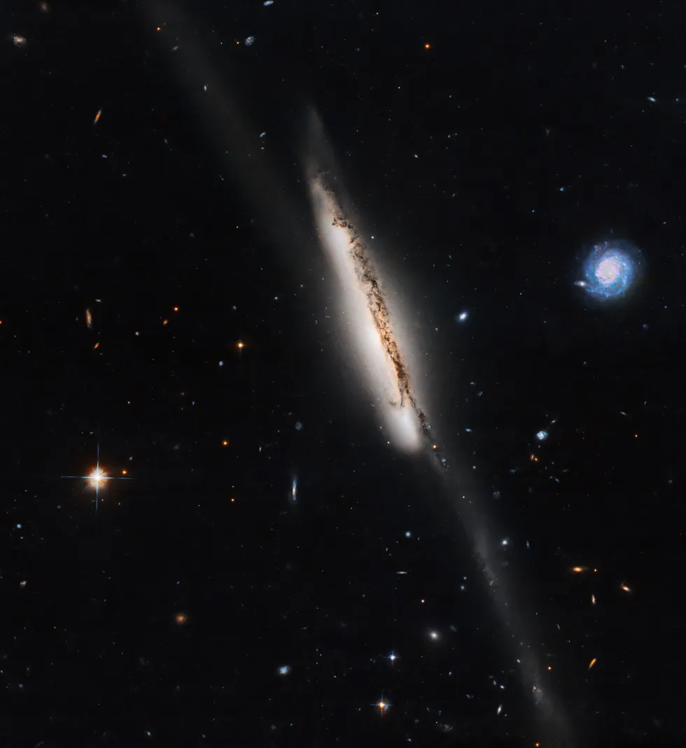 Arp 295