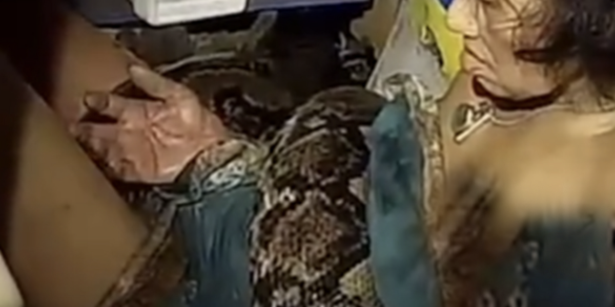 NextImg:Woman wrestled giant python for two hours before being rescued from its coils