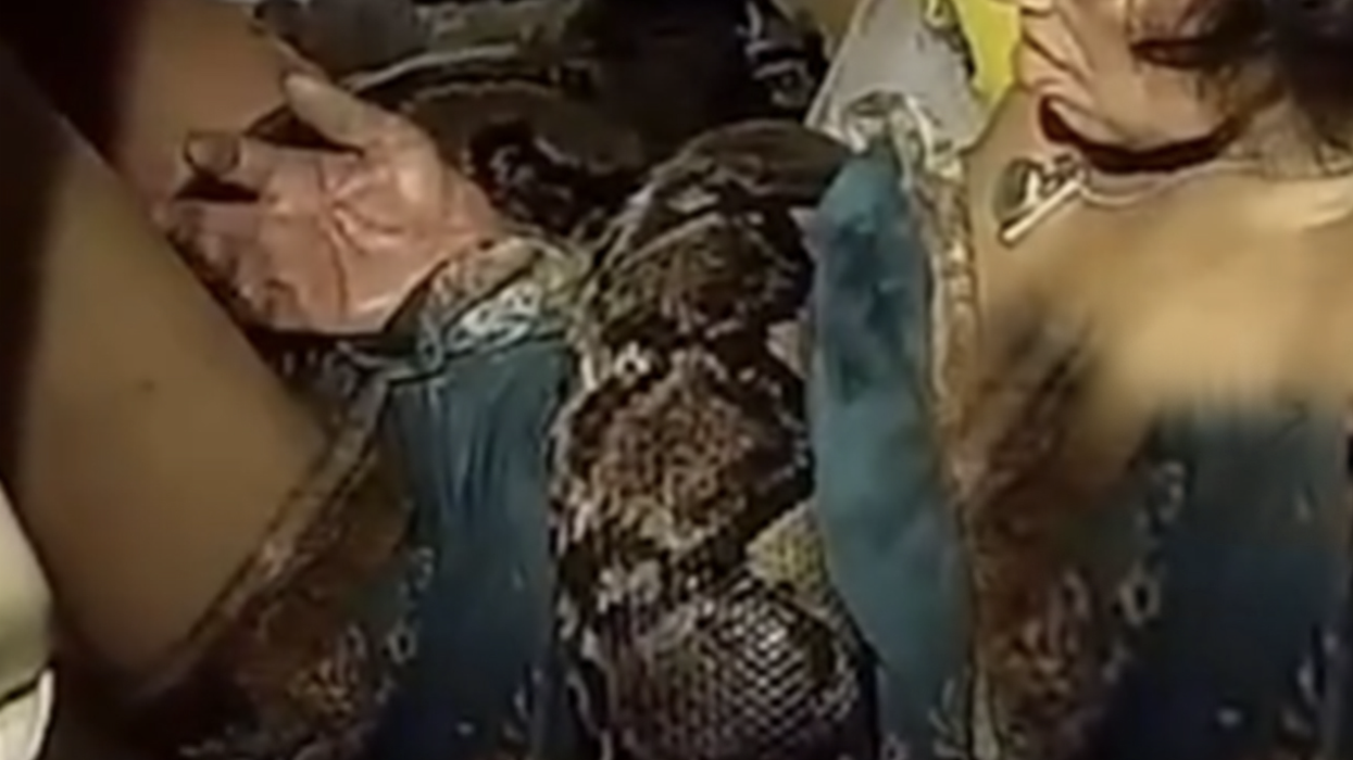 Arrom Arunroj, 64, is held in the coils of 4-metre-long python