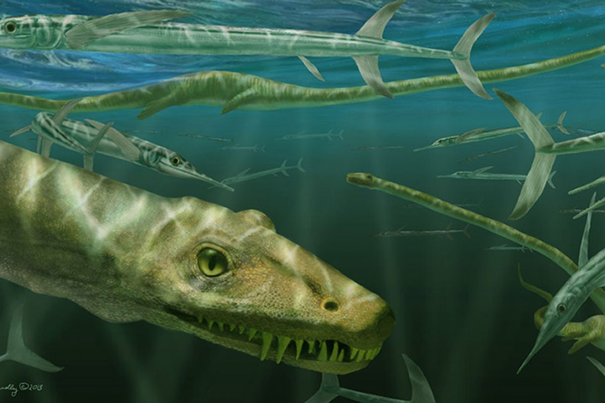 Artist impression of a Dinocephalosaurus orientalis 