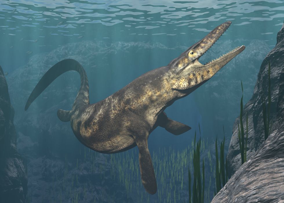 Artists rendition of mosasaurs