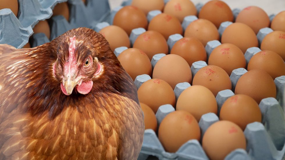 Asda is limiting customers to two boxes of eggs each and Lidl is restricting customers