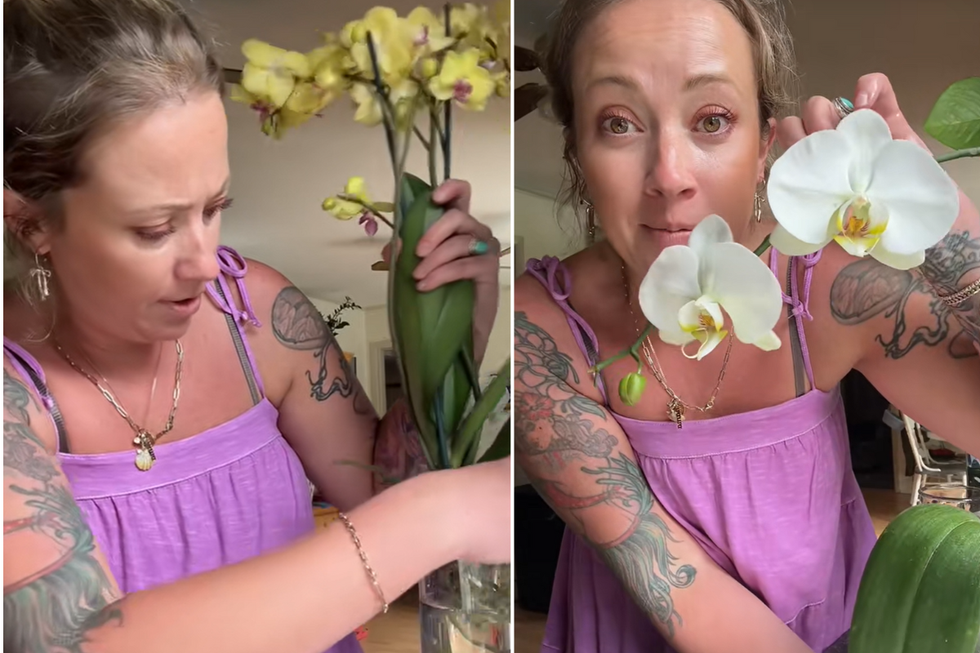 Ashley Hess speaking to her followers