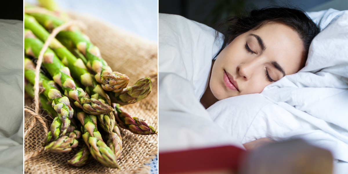 NextImg:'Highly significant': Scientists name fast-acting foods that tackle insomnia 'within less than 24 hours'