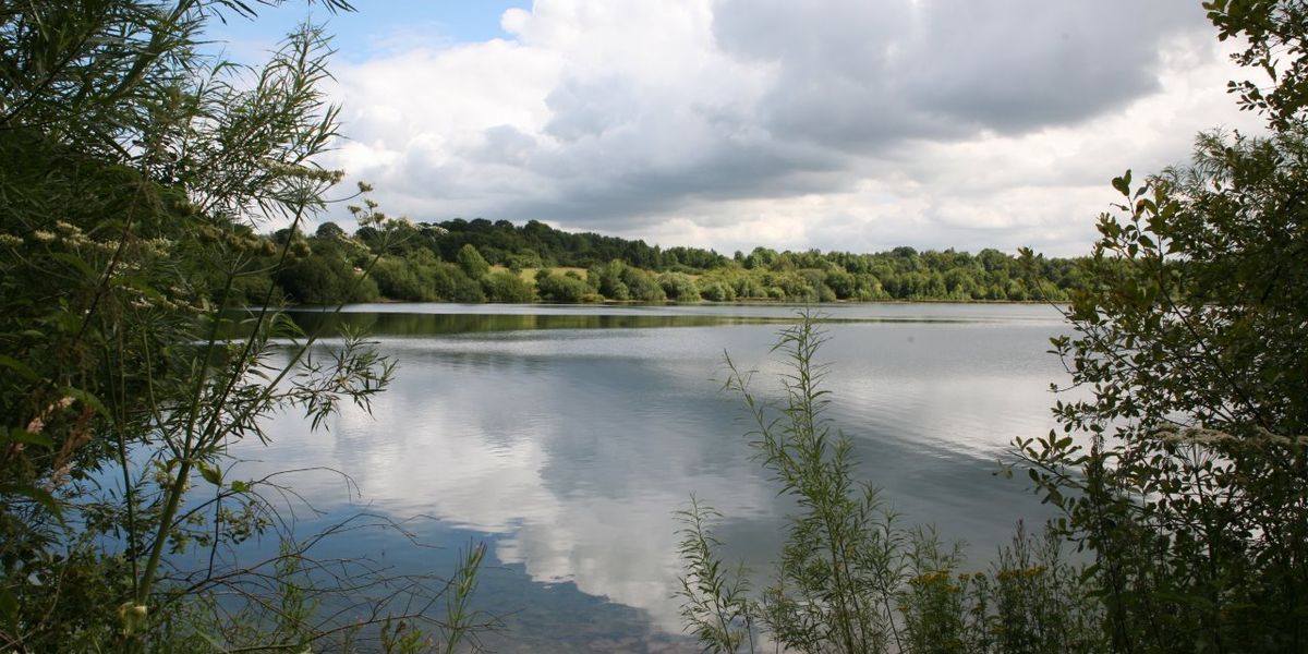 Cheshire county park visitors left outraged as ‘prison’ fence erected Cheshire county park visitors left outraged as ‘prison’ fence erected