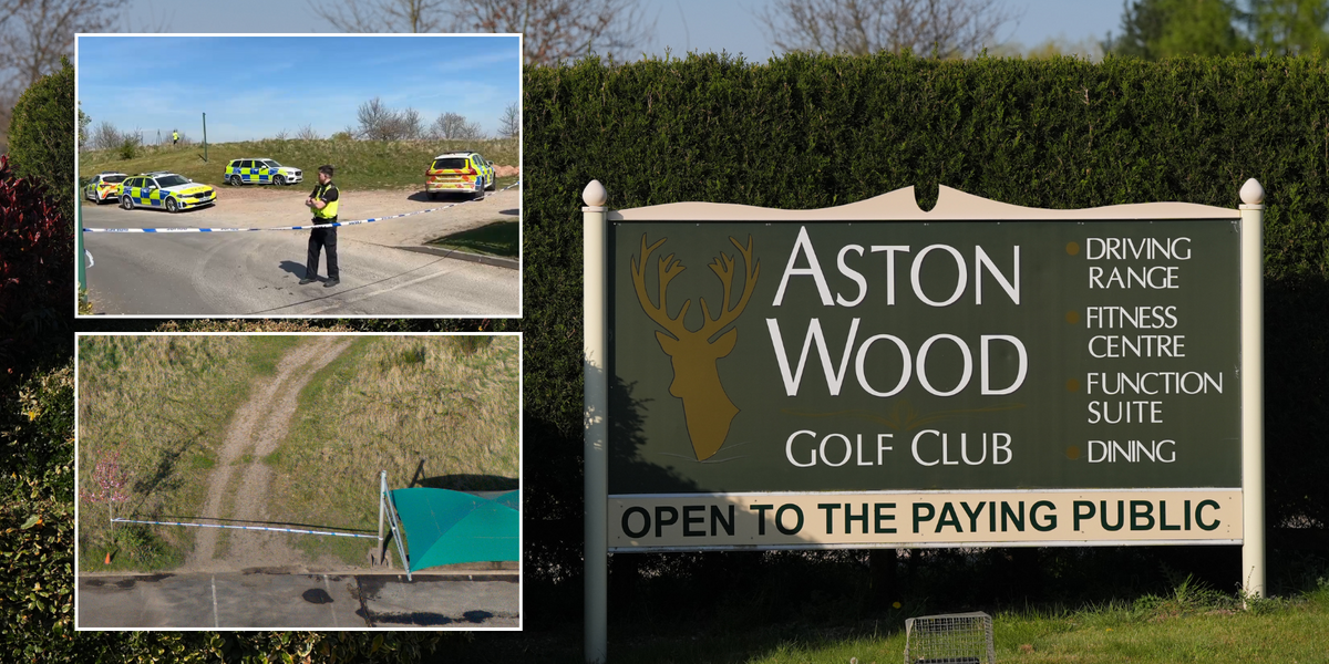 NextImg:Manhunt for 'killer driver' after woman hit by van fleeing police on golf course dies