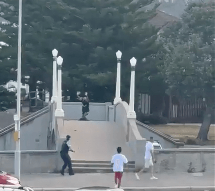 Asylum seeker attempting to disarm alleged shooter