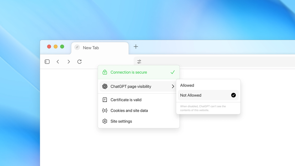 Atlas web browser privacy settings