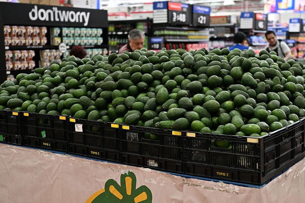 Avacados