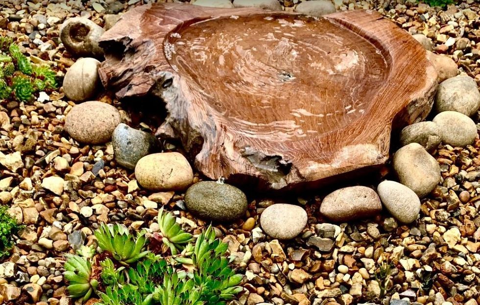 Babbling Brook of Waterside, Chesham