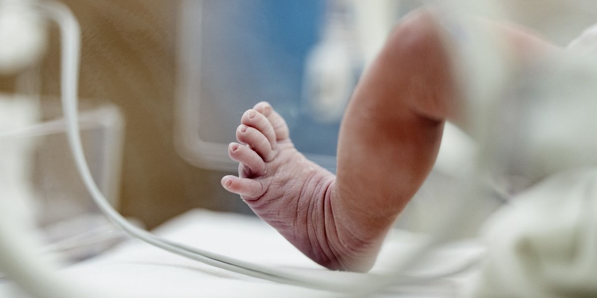 NextImg:Commonly prescribed drug linked to significant risk of birth defects, warn scientists