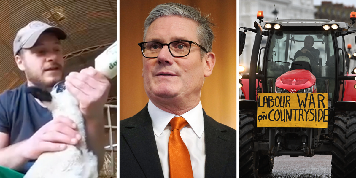NextImg:'No liquid assets!' Farmer DISMANTLES Starmer tax argument in under 10 seconds as supermarket meltdown looms