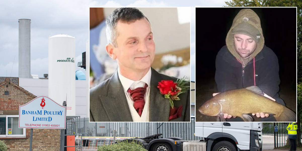 NextImg:Chicken factory mystery deaths spark probe after two workers found FROZEN in narrow space