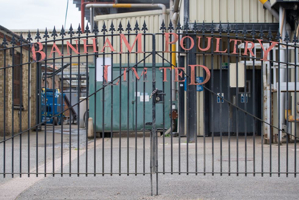 Banham Poultry gate