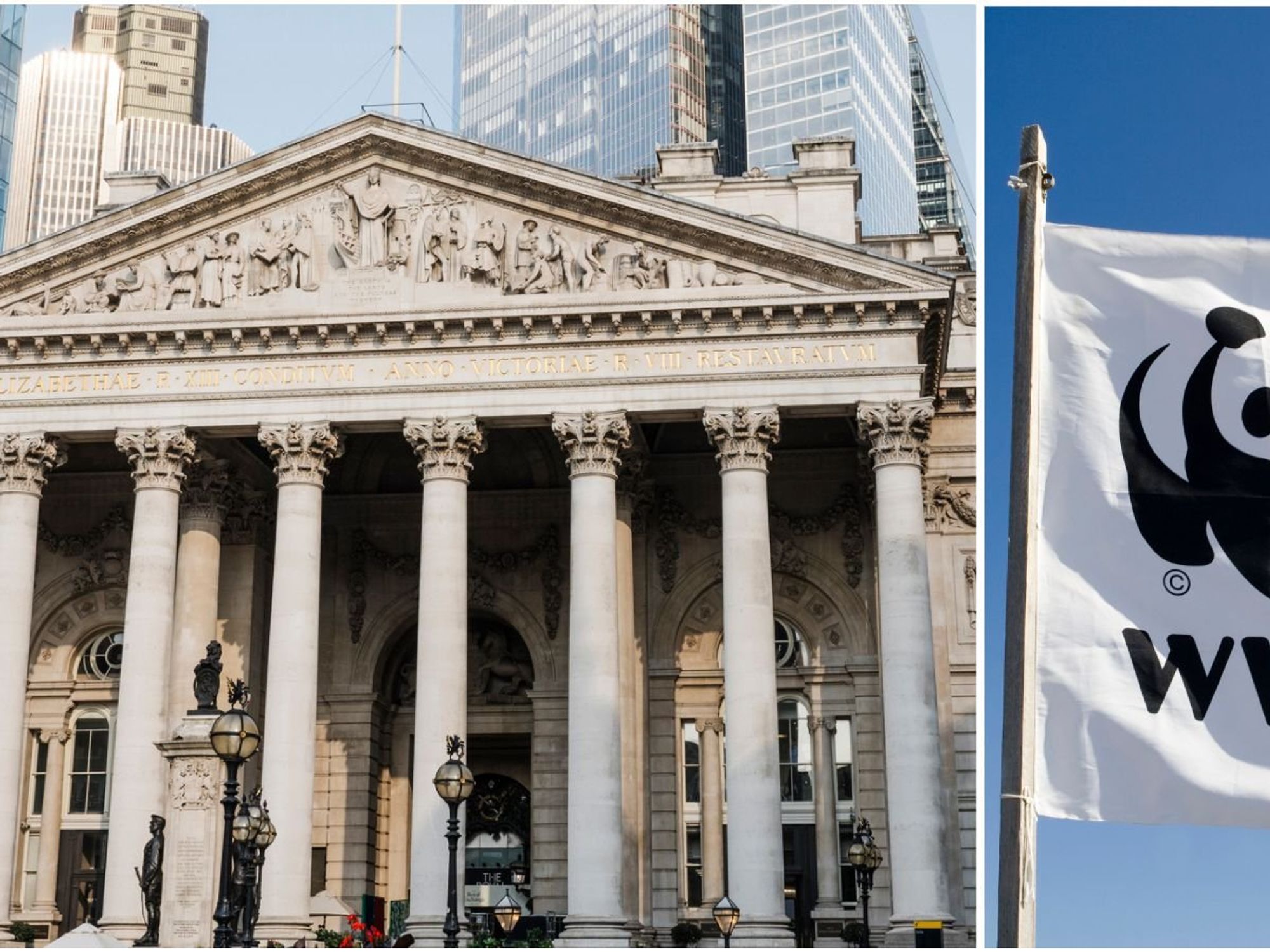 Bank of England and WWF