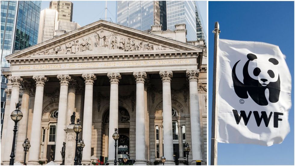 Bank of England and WWF