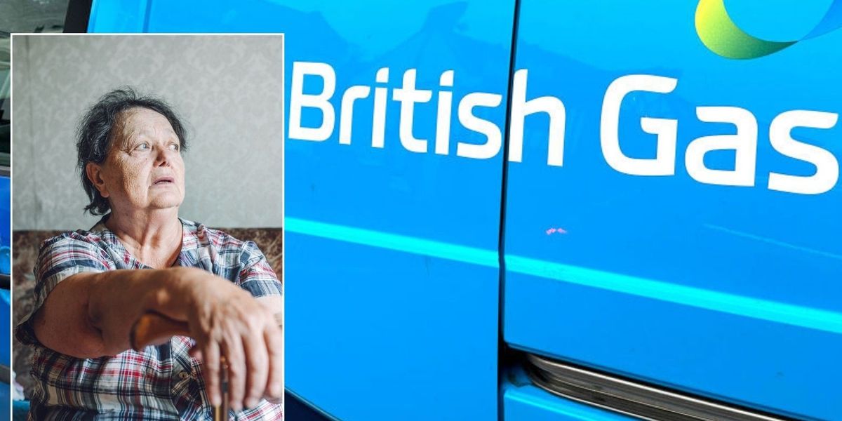 NextImg:British Gas profits skyrocket as more than three million households fall into fuel poverty