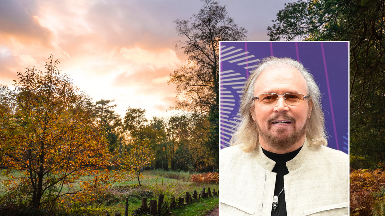 Barry Gibb Bracknell Forest