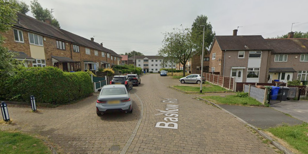 NextImg:Baby and two adults rushed to hospital 'covered in blood' after being attacked by a dog as air ambulance rushes in