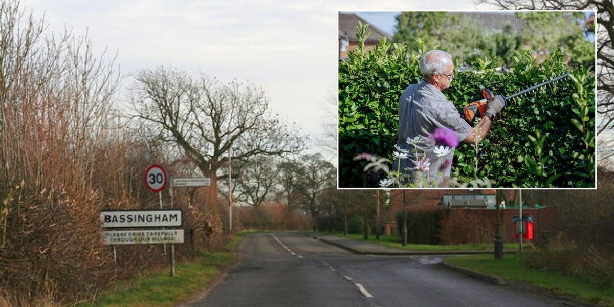 NextImg:Ex-Chinese spy and lawyer daughter terrorised neighbours with 'derogatory abuse' and 'loud metallic' noises amid hedge row