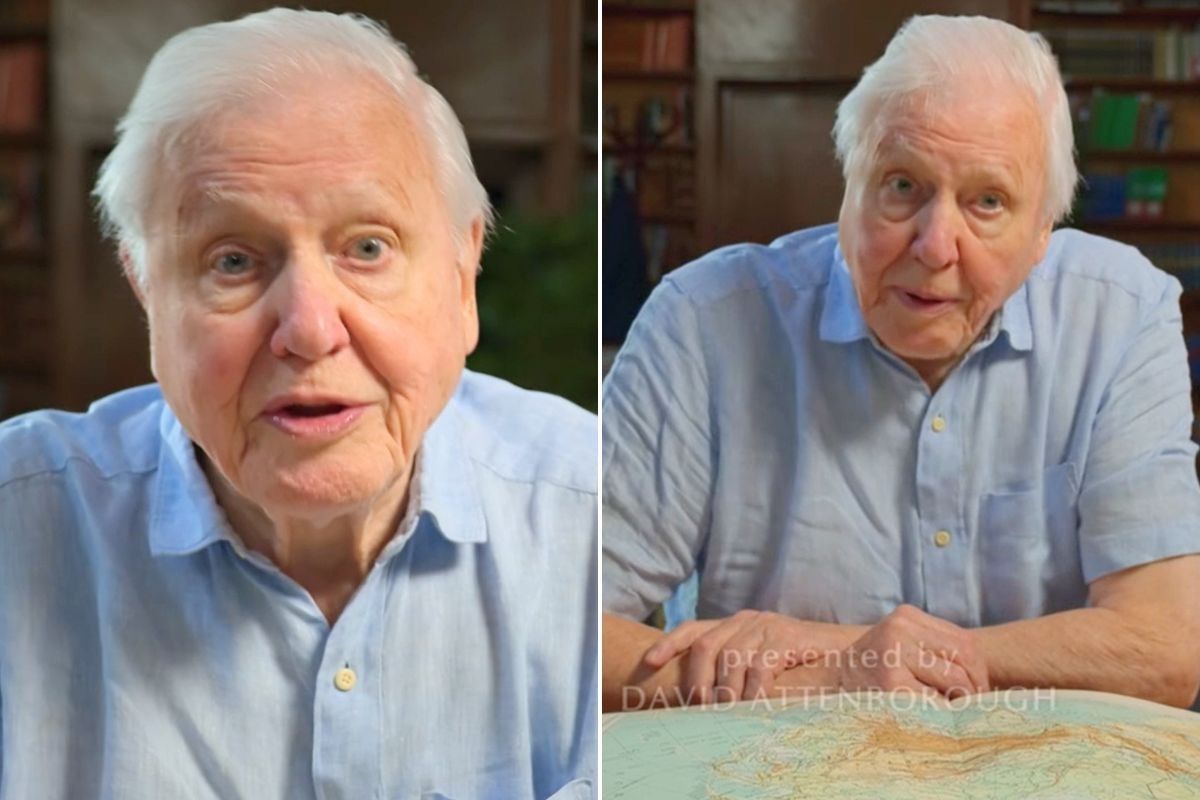 BBC Asia: Sir David Attenborough