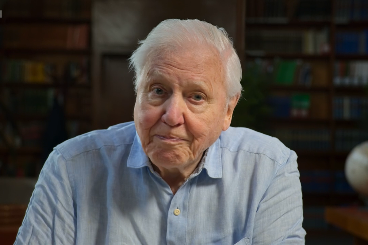 BBC Asia: Sir David Attenborough