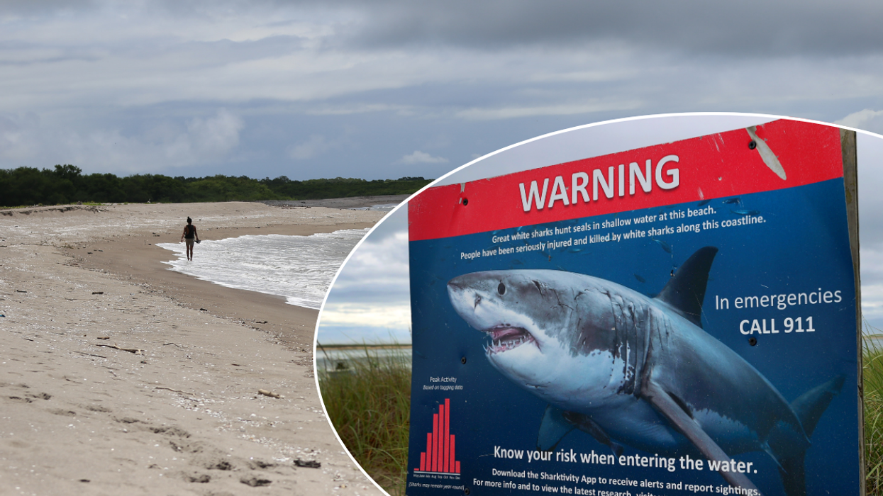 Beach in Honduras, shark warning sign in Cape Cod