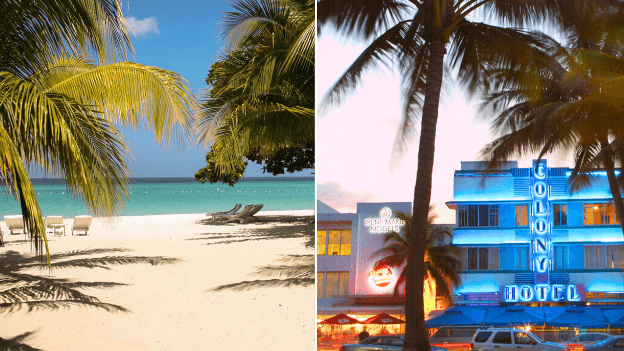 Beach in Jamaica / Miami hotels and palm trees