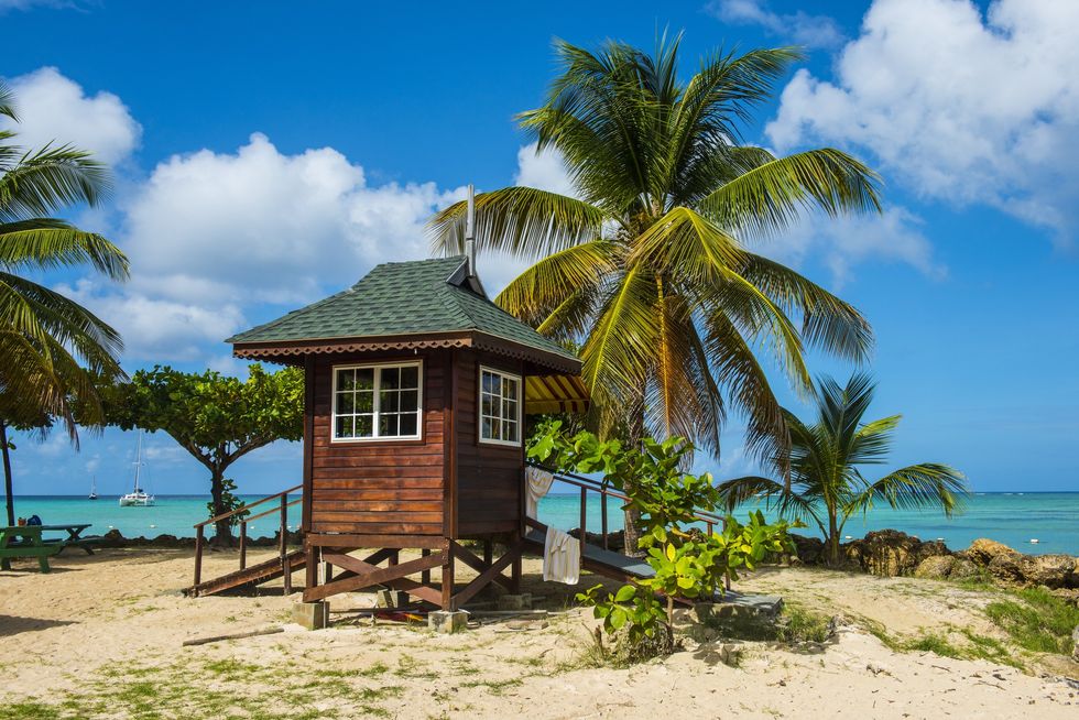 Beach in Trinidad and Tobago