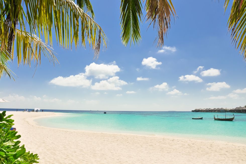 Beach sea holiday