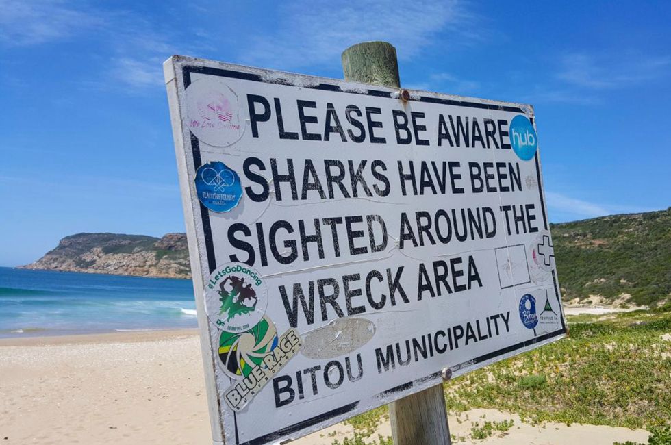 Beaches remain closed until authorities are convinced it's safe for surfers and swimmers to return to the water