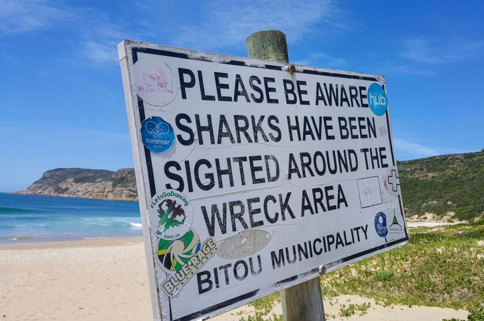 Beaches remain closed until authorities are convinced it's safe for surfers and swimmers to return to the water