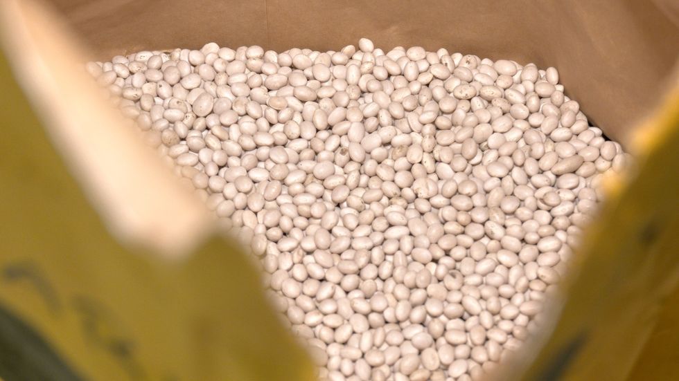 beans
