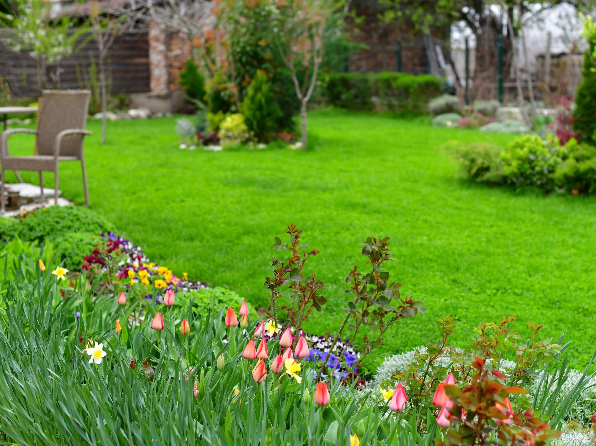 Beautiful garden with lush grass and flowers