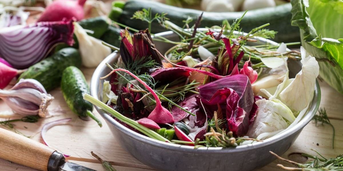 Not all plant-based diets protect the brain against Alzheimer’s disease, scientists warn Not all plant-based diets protect the brain against Alzheimer’s disease, scientists warn